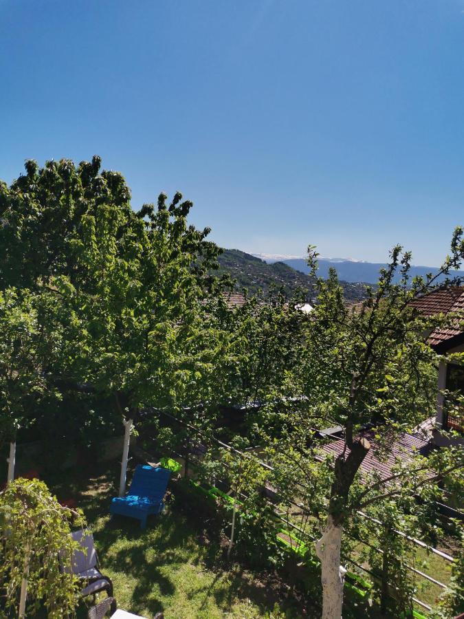 Bungalow 3 With 1 Room Сараєво Екстер'єр фото