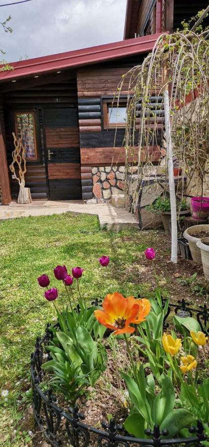 Bungalow 3 With 1 Room Сараєво Екстер'єр фото